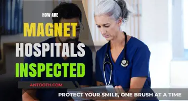Inspecting Magnet Hospitals: Standards, Processes, and Accreditation Explained
