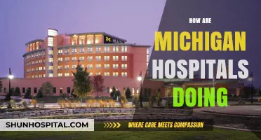 Michigan Hospitals' Performance: Challenges, Innovations, and Patient Care Insights