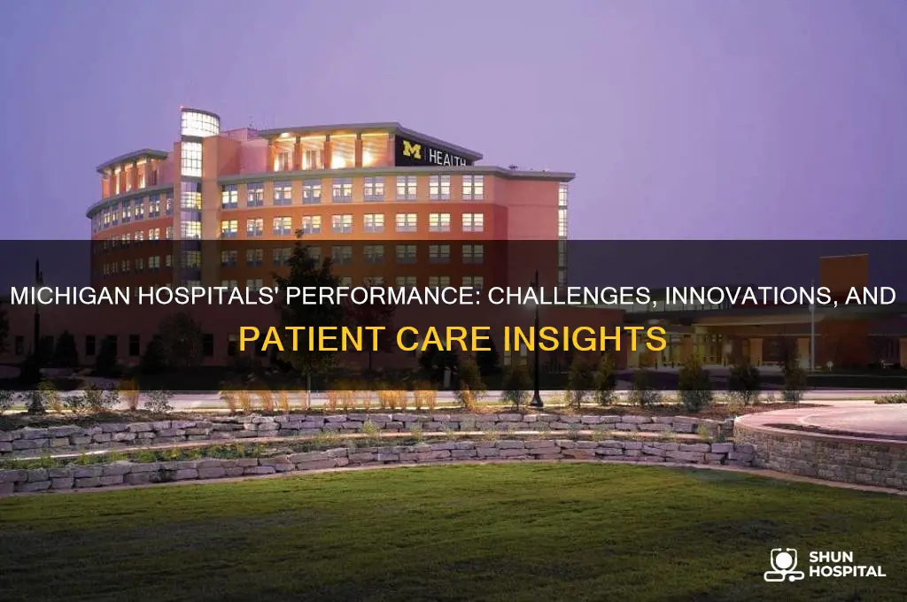 how are michigan hospitals doing