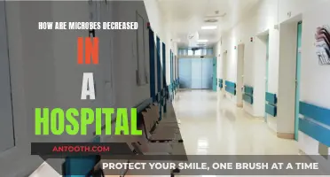 Hospitals' War on Microbes: Strategies to Reduce Threats