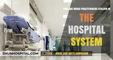 Maximizing Patient Care: Nurse Practitioners' Roles in Hospital Systems