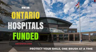 Understanding Ontario Hospital Funding: Sources, Allocation, and Financial Models