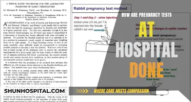 Pregnancy Testing Methods: Hospital Procedures Explained