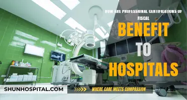 Boosting Hospital Finances: The Fiscal Impact of Professional Certifications