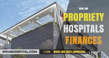 Proprietary Hospitals' Financial Strategies: Revenue, Costs, and Profitability Explained