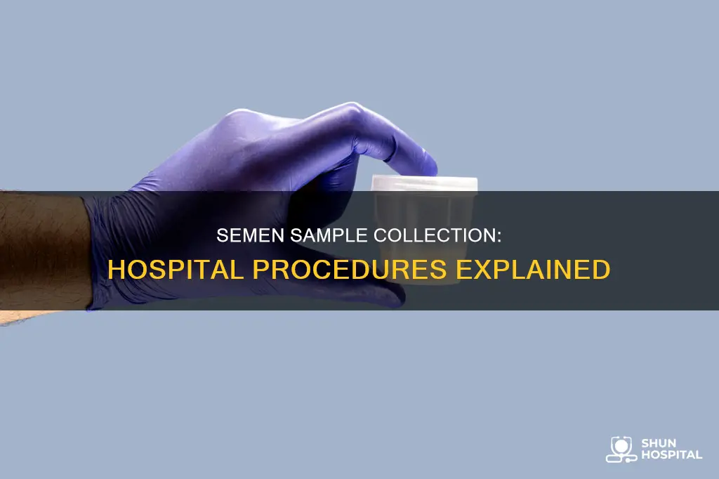 how are semen sample collected in hospital