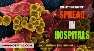 Staph Infections: Hospitals' Unseen Spread