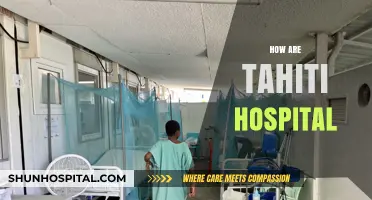 Exploring Healthcare in Tahiti: A Look at Its Hospitals and Services