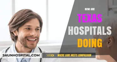 Texas Hospitals: Performance, Challenges, and Patient Care Insights