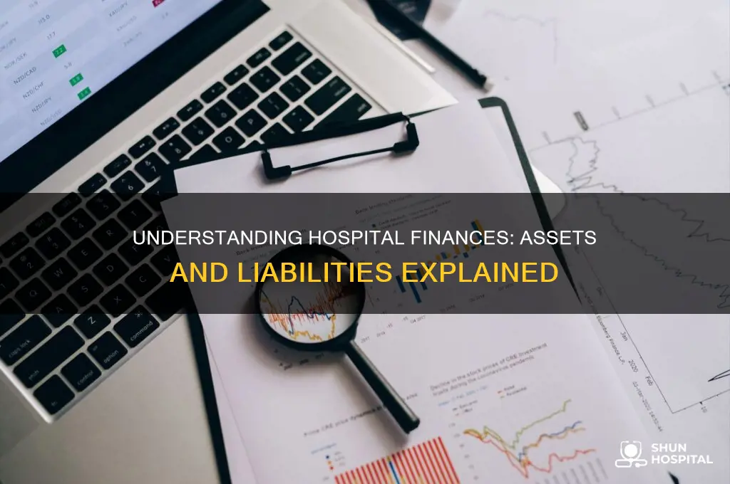 how are the assests and liabilities at a hospital