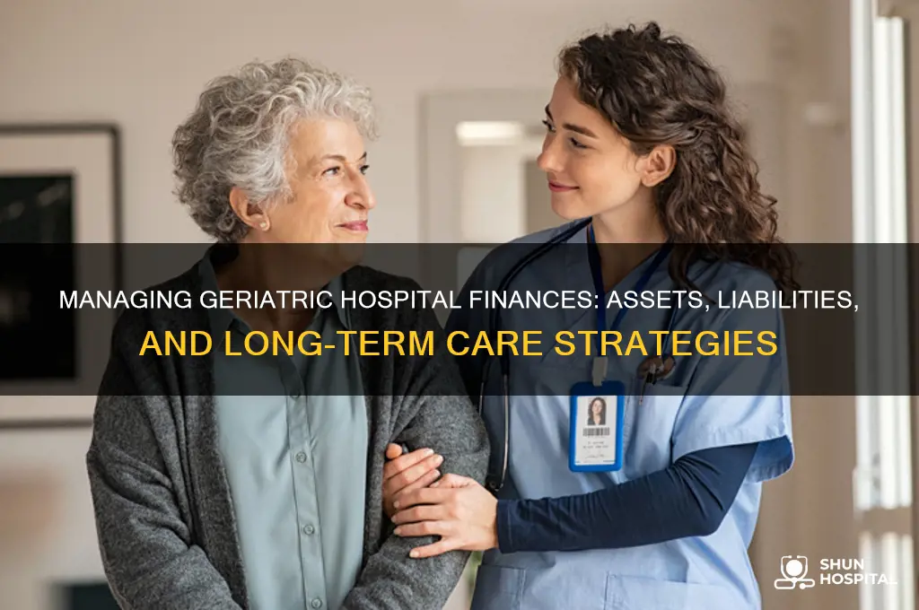 how are the assets and liabilities at a geriatric hospital