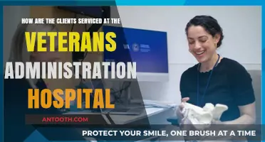 Veterans Administration Hospital: Client Service Excellence and Support Explained