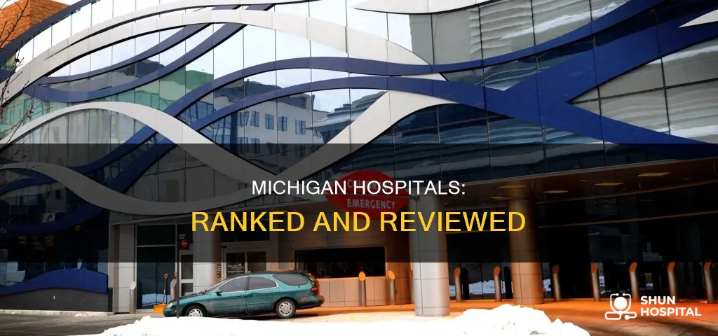 how are the hospitals in michigan ranked
