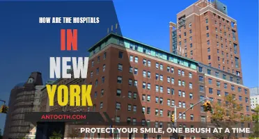 Exploring Healthcare in the Big Apple