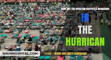 Houston Hospitals' Resilience: Managing Patient Care Amid Hurricane Challenges