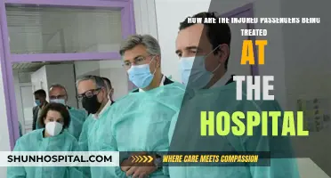 Hospital Care for Injured Passengers: Treatment, Recovery, and Support