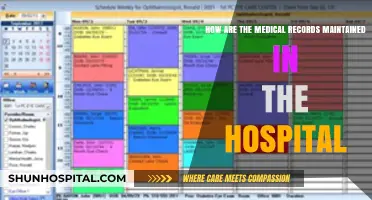 Efficient Medical Record Management: Hospital Systems and Best Practices Explained