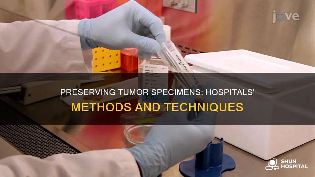 how are tumor specimens preserved at hospitals