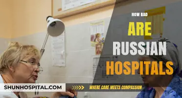Russian Hospitals: Unveiling the Harsh Realities of Healthcare Challenges