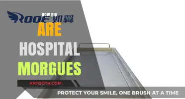 Exploring the Size and Capacity of Hospital Morgues: What to Expect