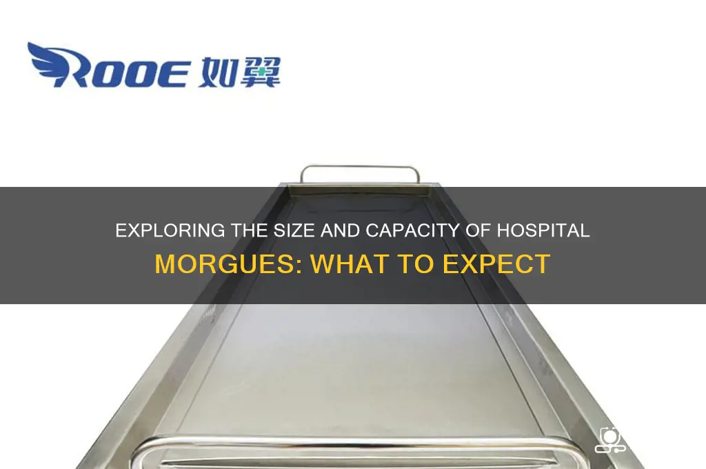 how big are hospital morgues
