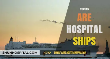 Exploring the Massive Scale of Modern Hospital Ships