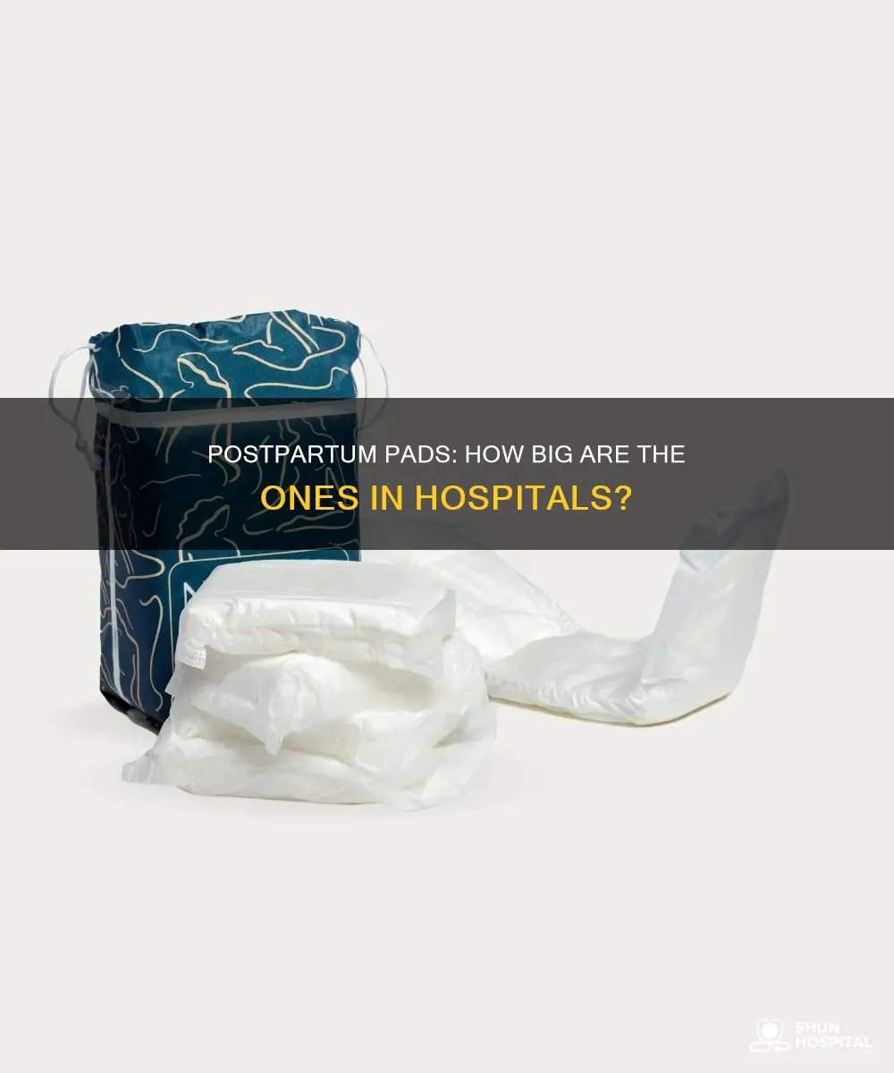 how big are rhe hospital postpartum pads