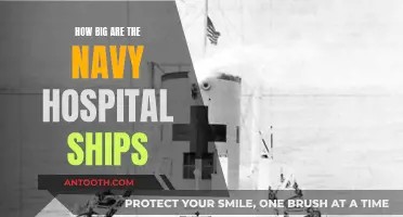 Hospital Ships: Giant Navy Vessels Saving Lives