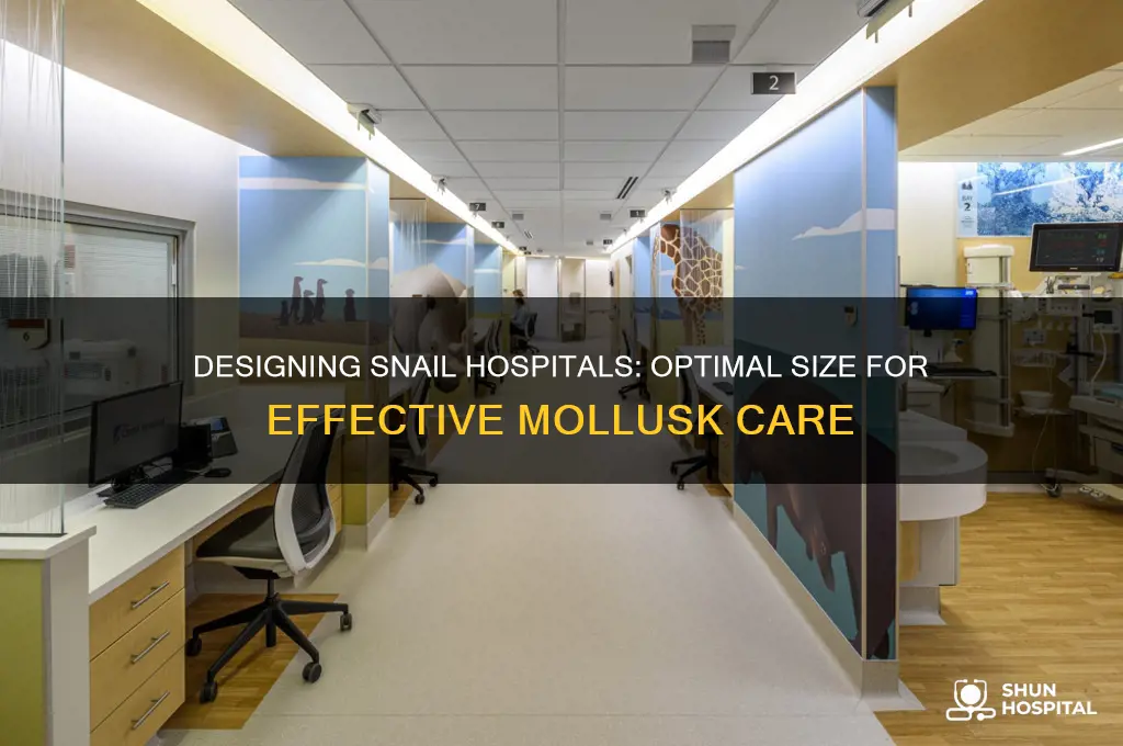 how big does a snail hospital have to be