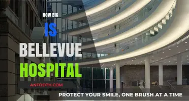 Exploring Bellevue Hospital's Size: A Comprehensive Overview of Its Campus