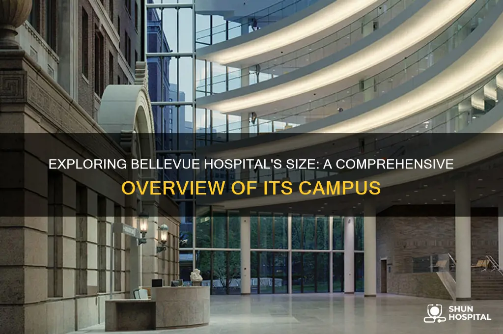how big is bellevue hospital