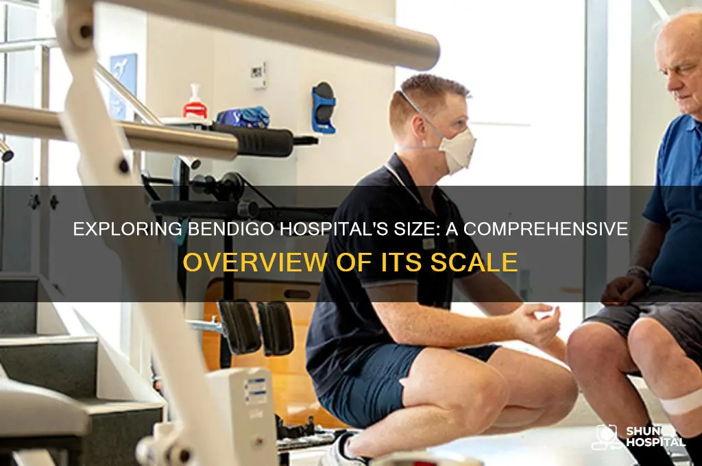 how big is bendigo hospital