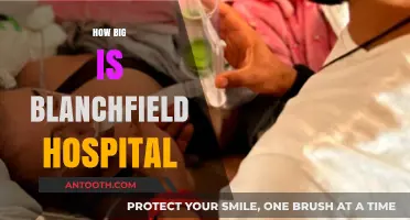 Exploring Blanchfield Hospital: Size, Facilities, and Patient Capacity Revealed