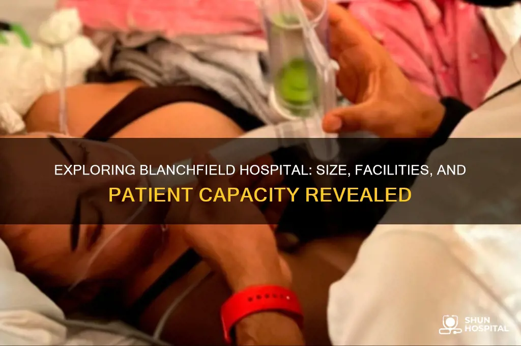 how big is blanchfield hospital