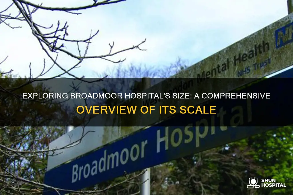 how big is broadmoor hospital
