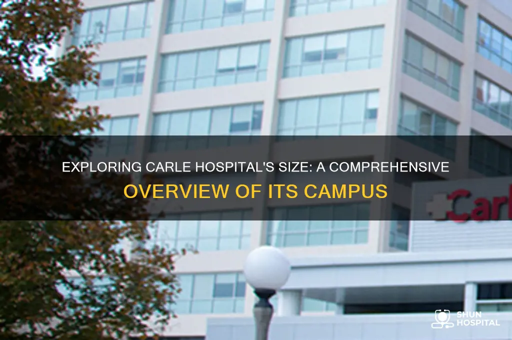 how big is carle hospital