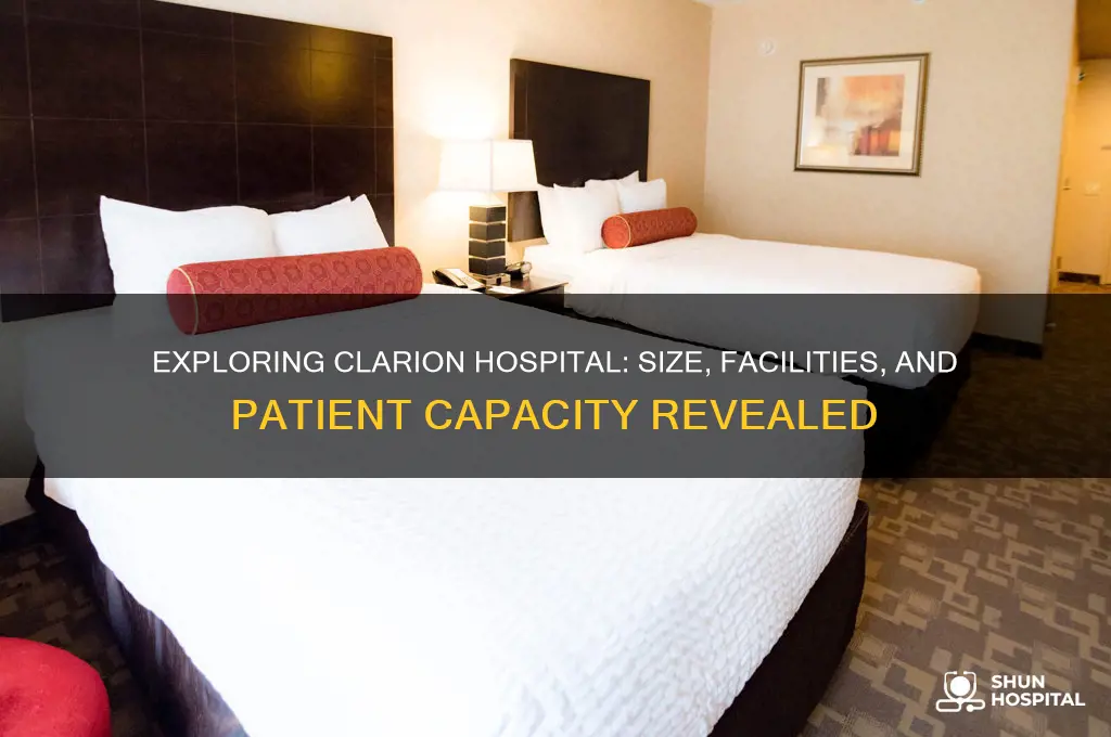 how big is clarion hospital