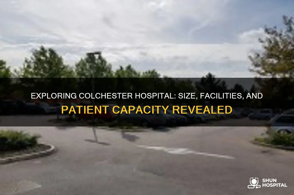 how big is colchester hospital