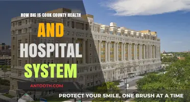Exploring Cook County Health: Size, Scope, and Impact