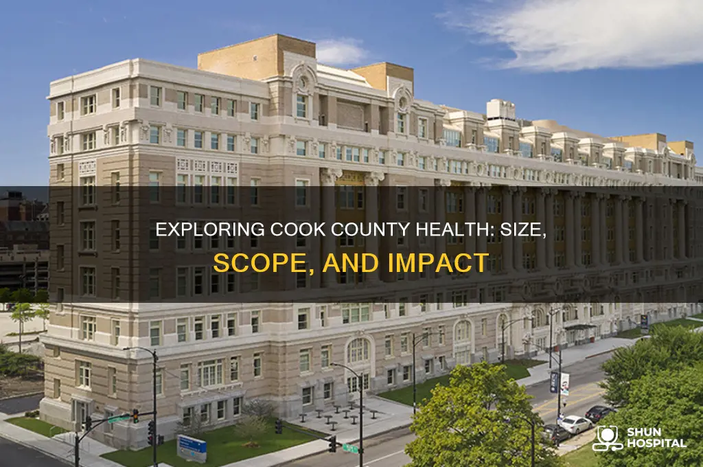 how big is cook county health and hospital system