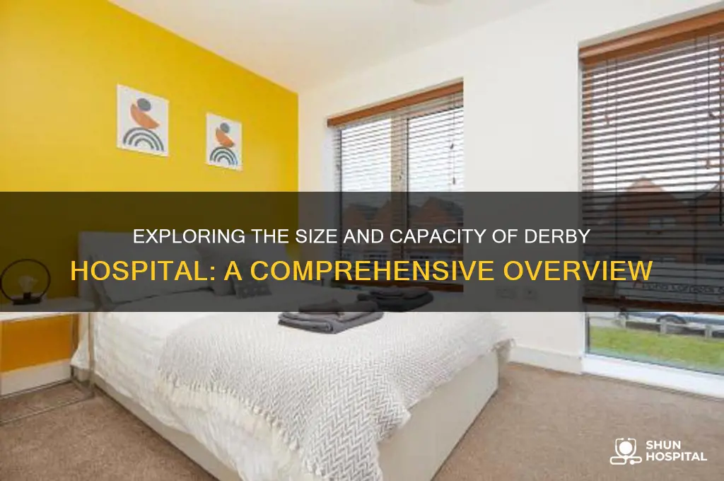how big is derby hospital