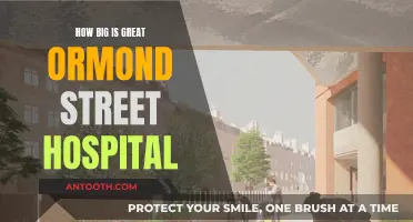 Great Ormond Street Hospital: Size and Impact