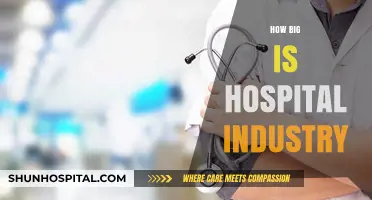 Exploring the Massive Scale and Impact of the Hospital Industry