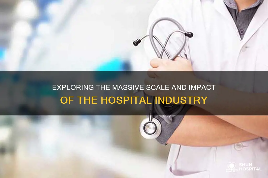 how big is hospital industry