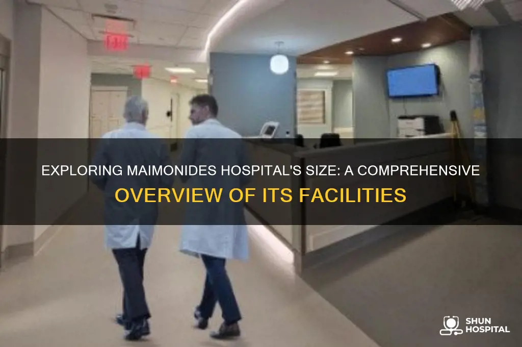 how big is maimonides hospital