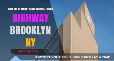 Mount Sinai Hospital Kings Highway Brooklyn NY: Size and Scope Revealed