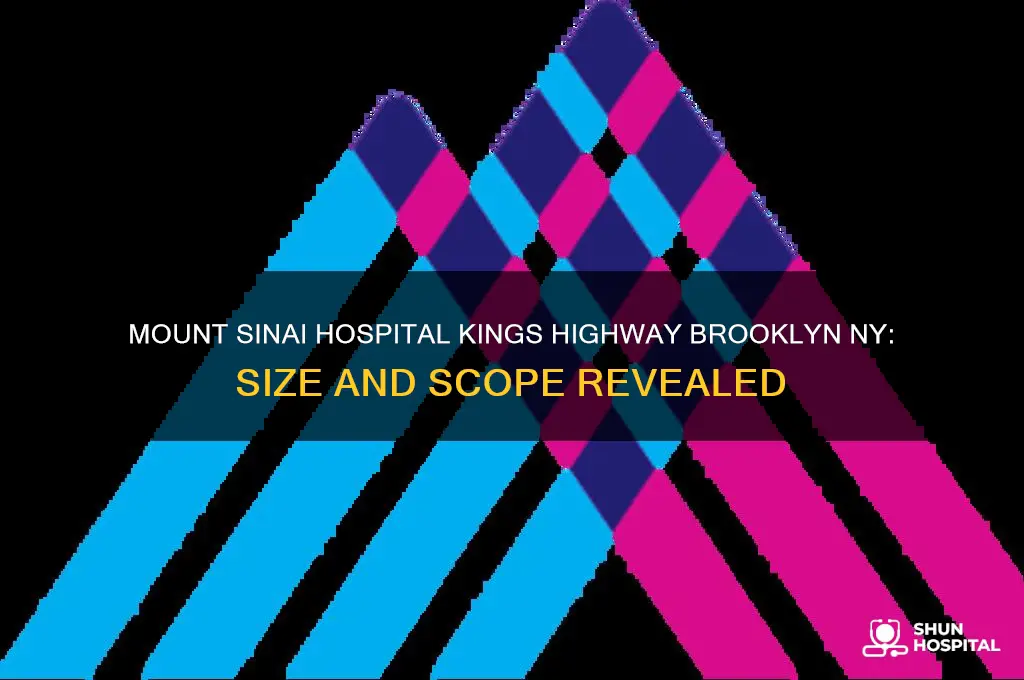how big is mount sinai hospital kings highway brooklyn ny