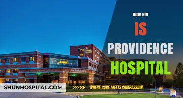 Providence Hospital's Size: Exploring Its Expansive Facilities and Capacity