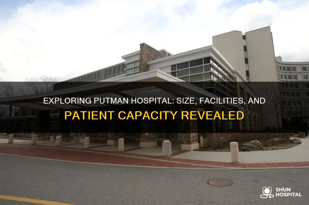 how big is putman hospital
