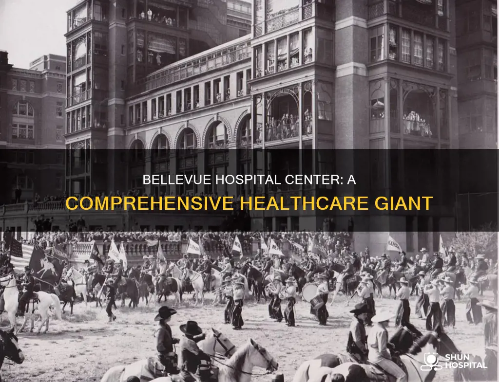 how big is the bellevue hospital center